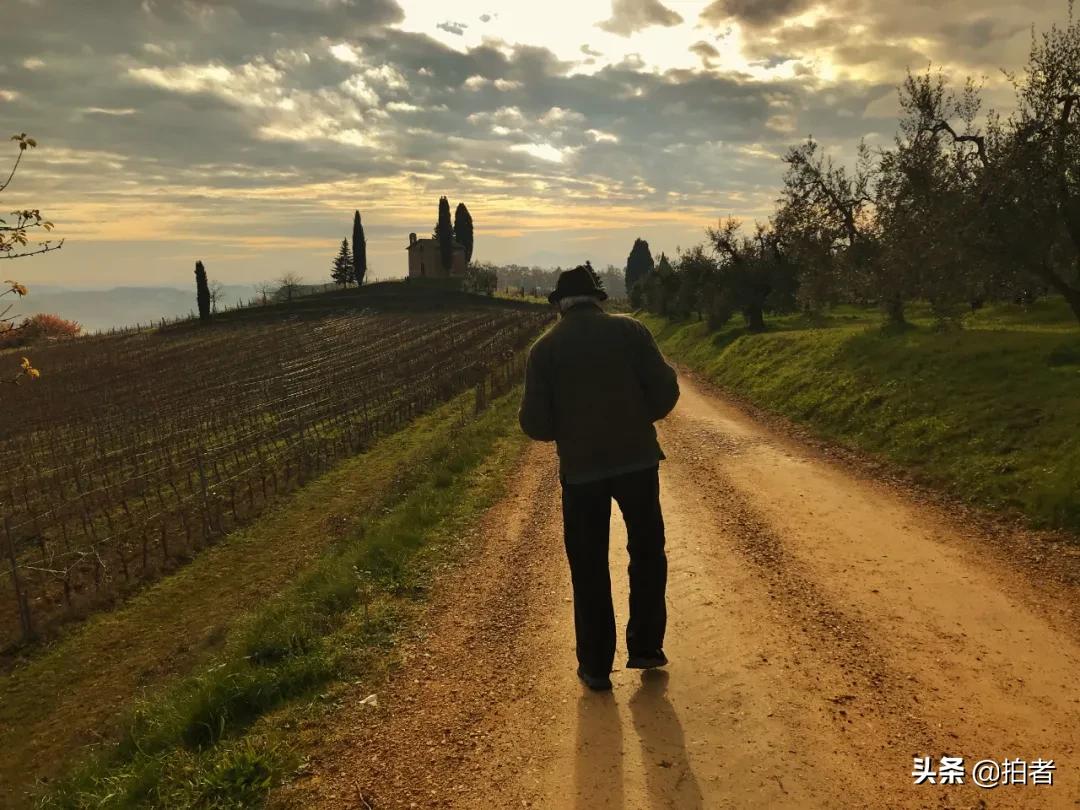 手机摄影天花板机型,手机摄影爱生活