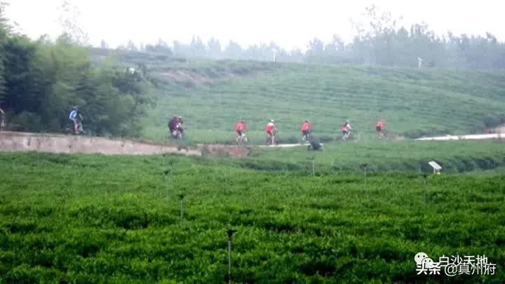 备受关注的宁镇扬一体化,2020宁镇扬一体化发展峰会