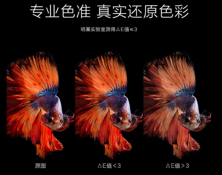 说出来你可能不相信的事情,说出来你可能不相信的事实