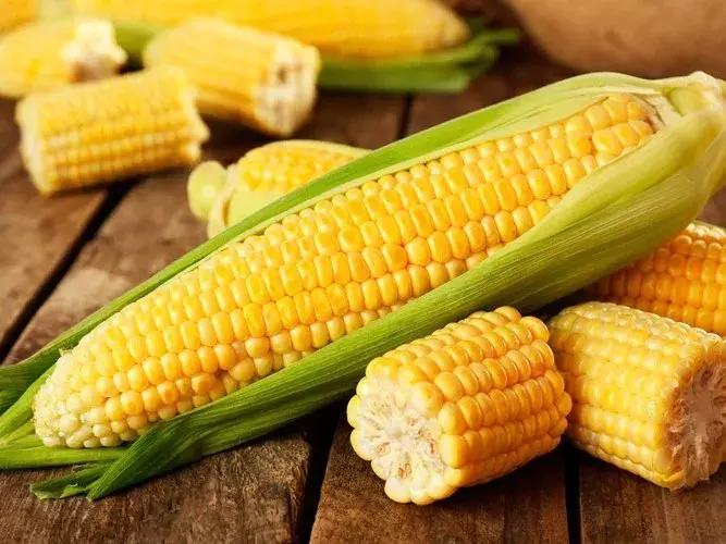 玉米发霉一定会产生黄曲霉吗,玉米发霉是黄曲霉素吗