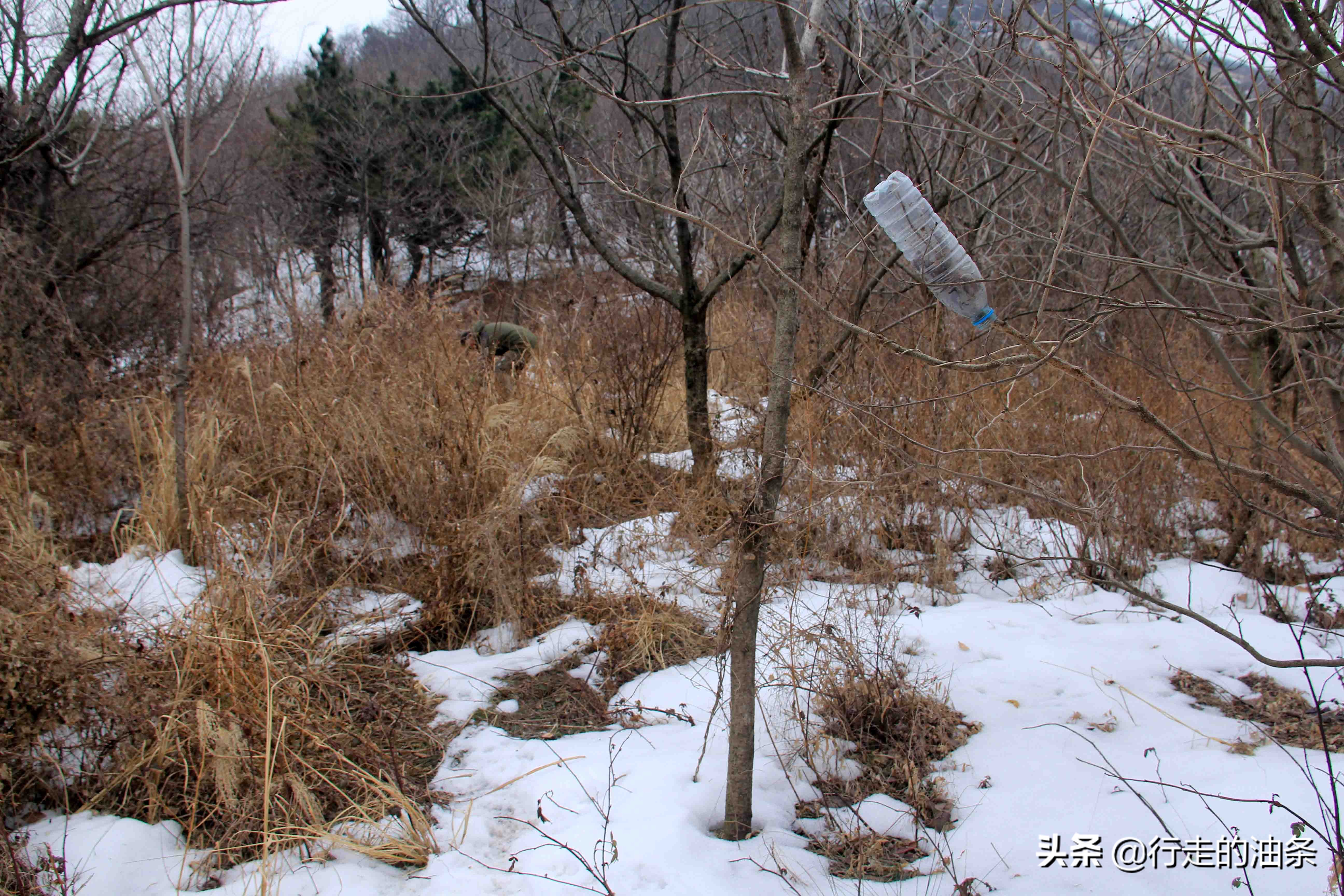 雪山迷路,雪山里迷路