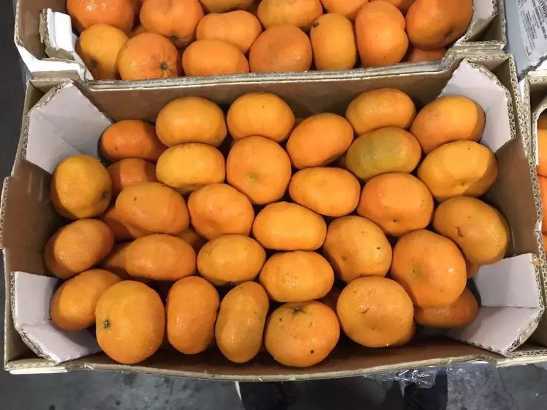 进口的水果有哪些,进口水果价格高的解决办法