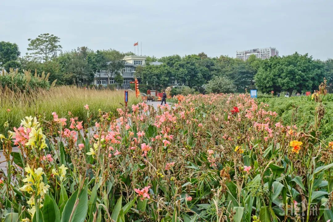 疫情期间免费开放的公园,疫情期间开放的公园有哪些