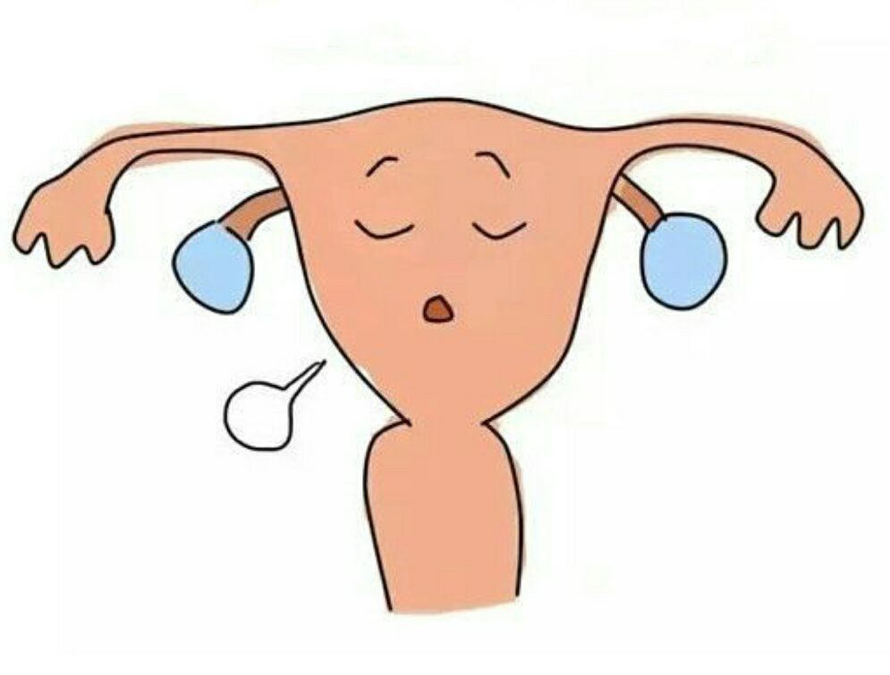 常见的子宫疾病有几种,和子宫有关的妇科疾病