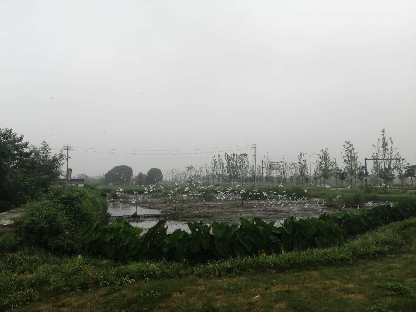 德清城市旅游打卡,湖州德清是百强县吗