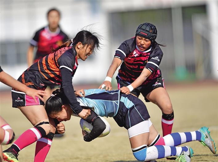 绅士们的暴力运动,绅士的运动橄榄球