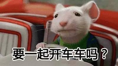 明明是已经绝育的公猫,明明绝育了猫咪为什么还叫