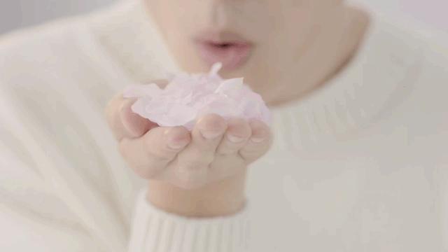 不要随便亲猫的后果,强行亲猫