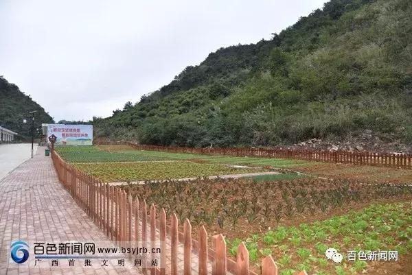 未来三年，百色乡村将大变样！百色市将投资89.81亿元进行乡村风貌提升行动！