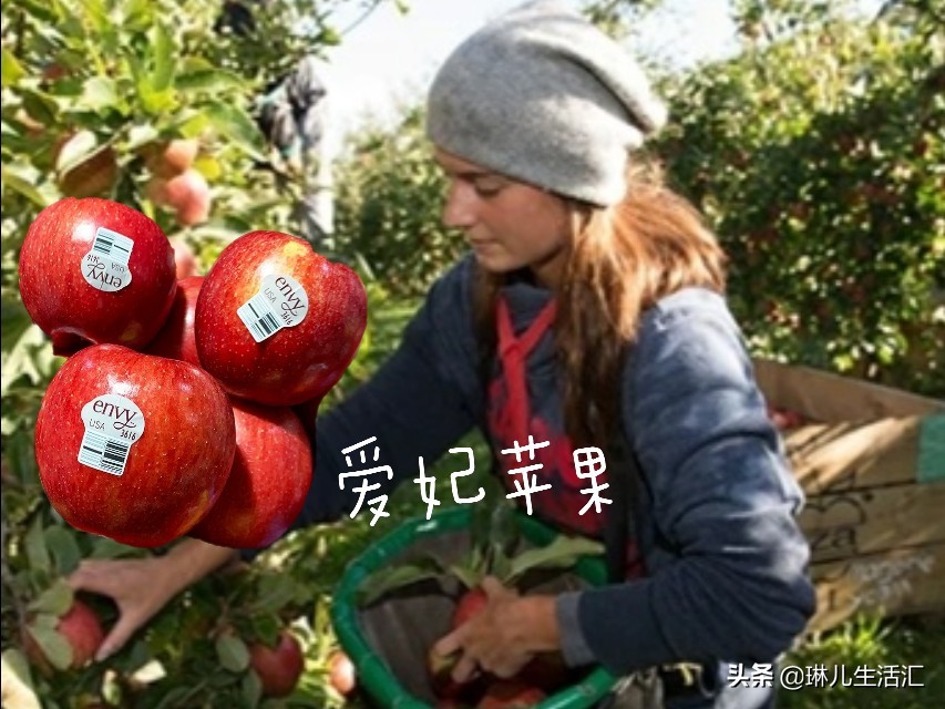 每天认识一种美食,每天认识一种食品