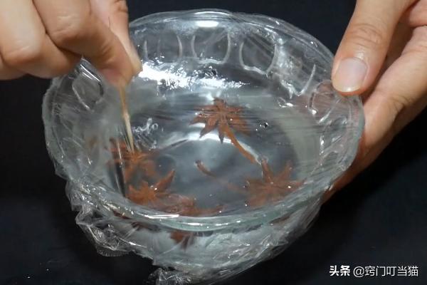 白醋与八角泡在一起对人体有害吗,八角放进白醋里泡一泡