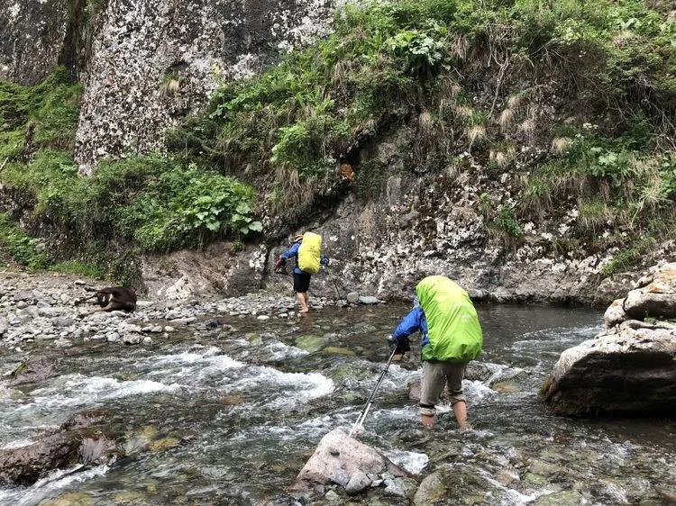 天狼之路是否值得一走,传说中的天狼