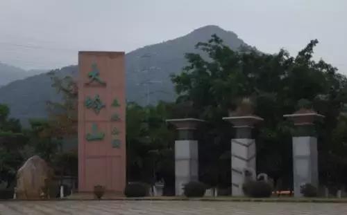 在辞旧迎新的时刻回顾过去,在过去的一年我们都经历了什么