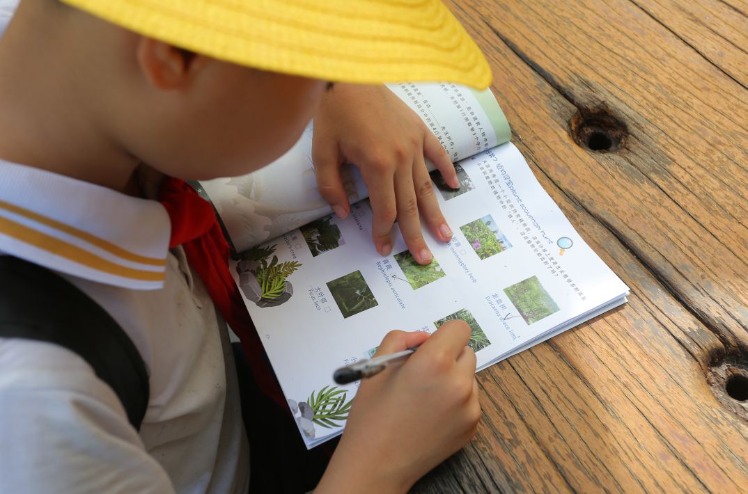 天涯海角游览区中的浪漫天涯,天涯海角旅游区评价