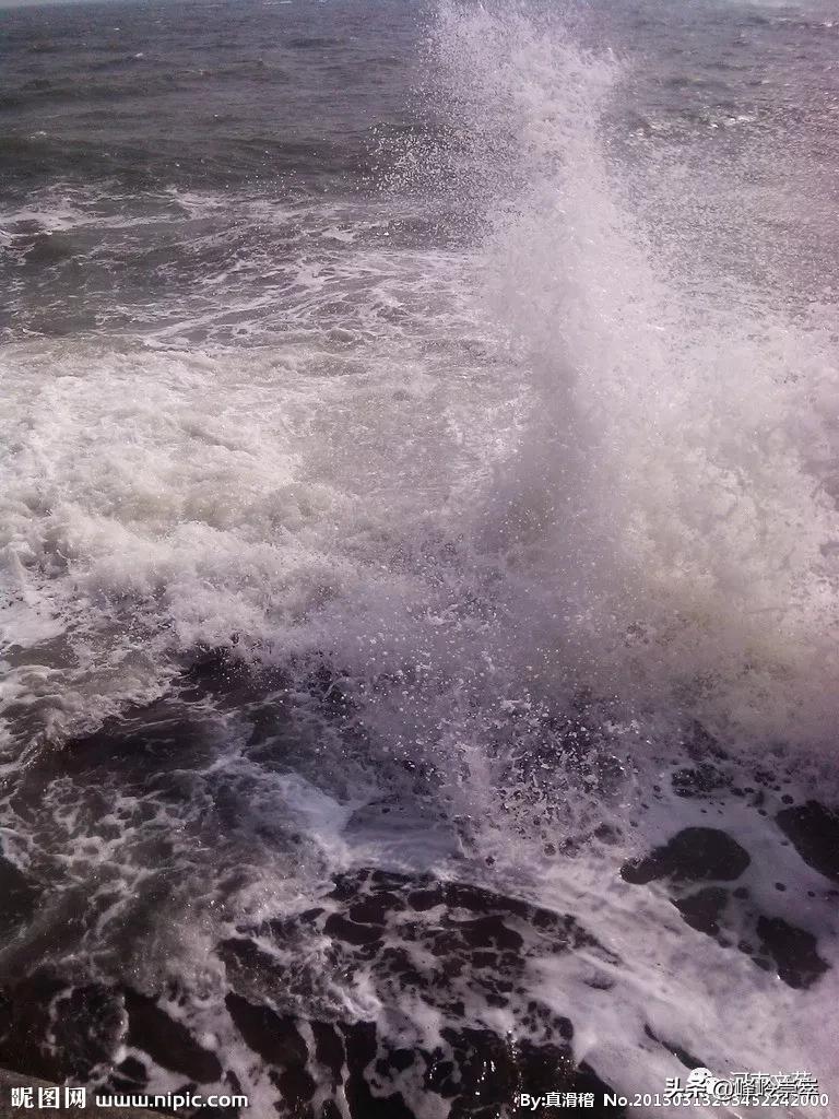 去看看黄河｜|麦莎