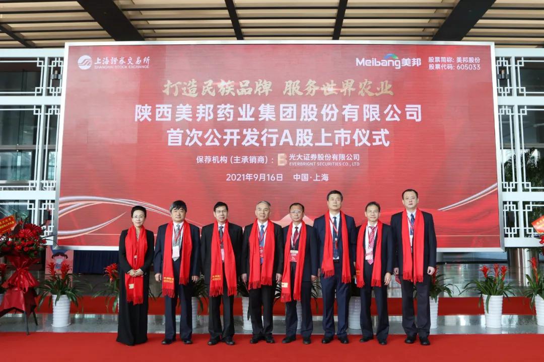 张少武美邦股份,美邦股份股票