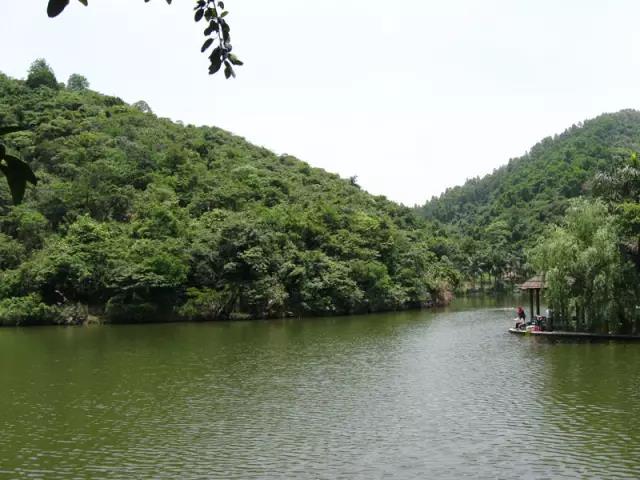 深圳遛娃50个必去的主题公园,深圳遛娃必去景点免费全部列表