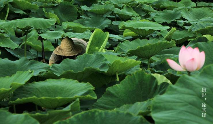 建水见山水库,建水见水民宿
