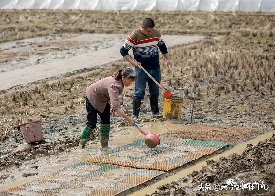 天等抢劫,天等抢钱案