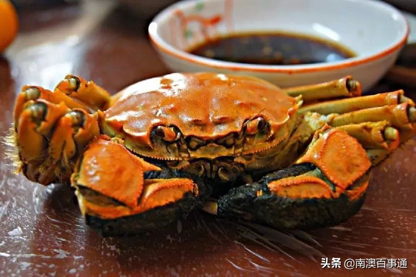 青蟹比大闸蟹好吃,比大闸蟹还要鲜美的青蟹