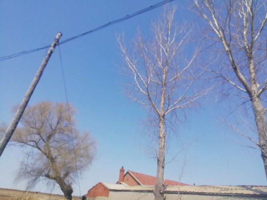 婆婆跟孙子孙女不亲,婆婆不和儿媳妇说实话还要来往吗