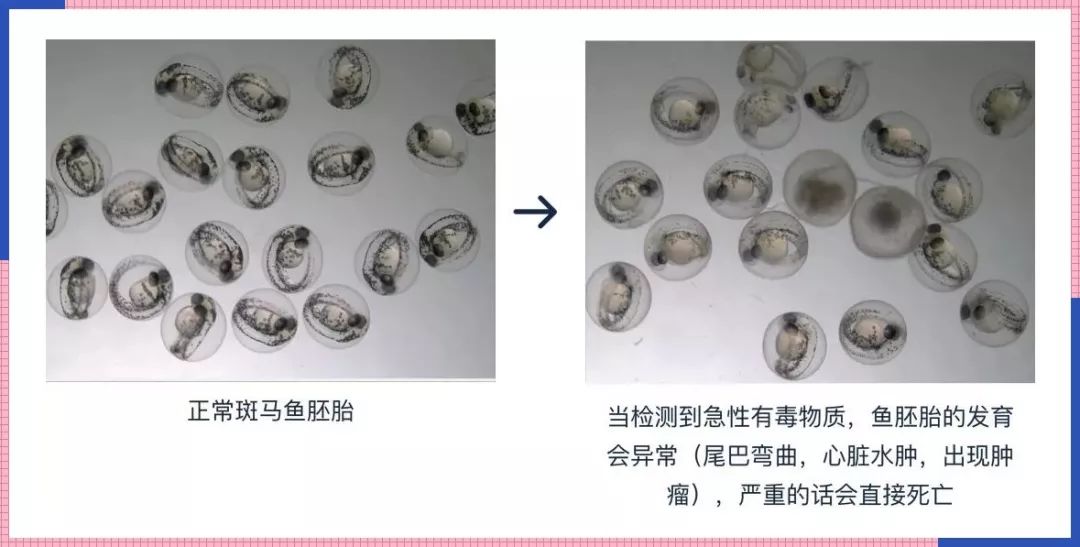 国货眼霜推荐前十名小红书,小红书里超补水的眼霜有哪些