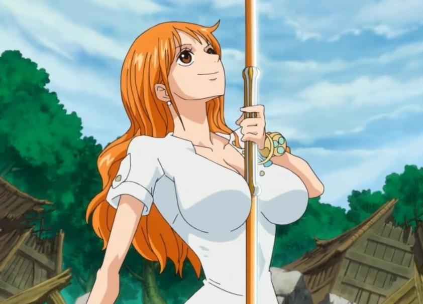 海贼王奇特东西,海贼王各种奇怪的动物