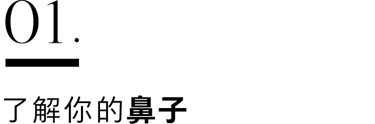 鼻子决定人的尺寸,生活中最好看的鼻子是什么