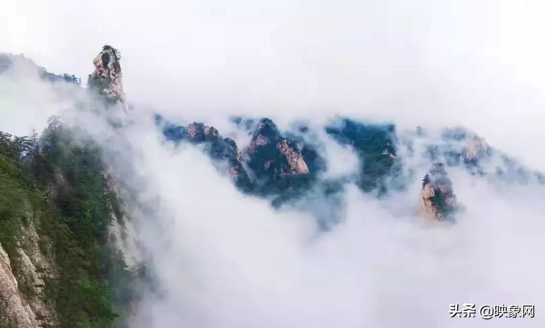 泌阳白云山景区免费,云台山嵖岈山白云山哪里更好玩