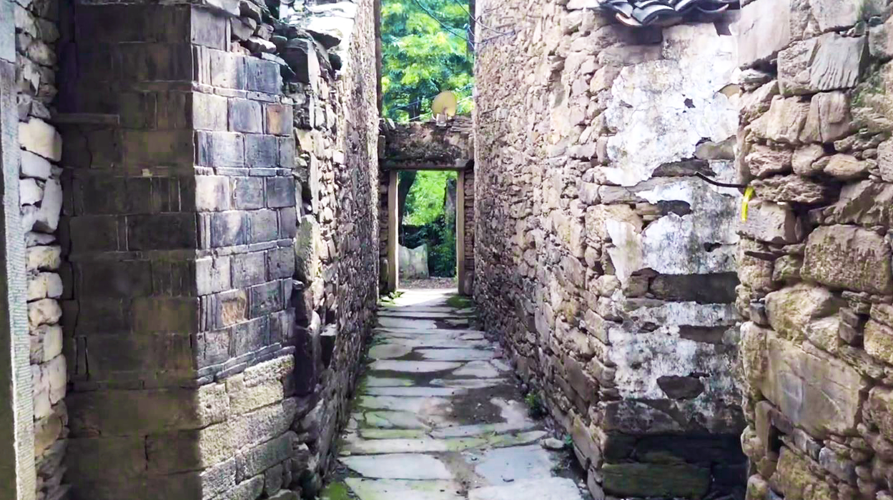 武汉周边最美古村一日游,旅游武汉这里藏着一座秘境森林