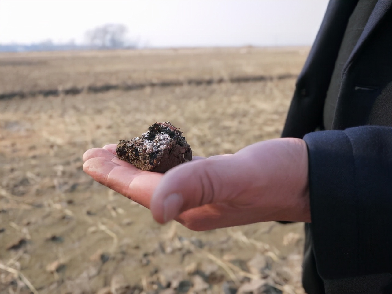 越光米和五常大米哪个好,日本越光大米