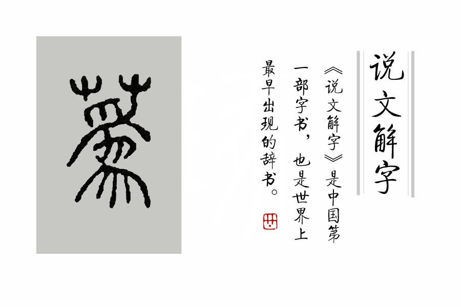 菊花在古代被古人称为什么之一,古代菊花的别称是什么