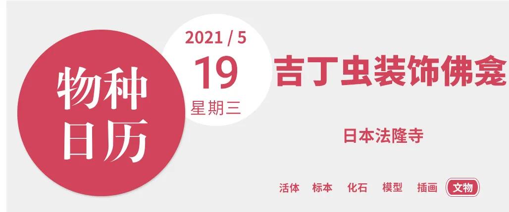 最贵的口红，居然是绿色的？