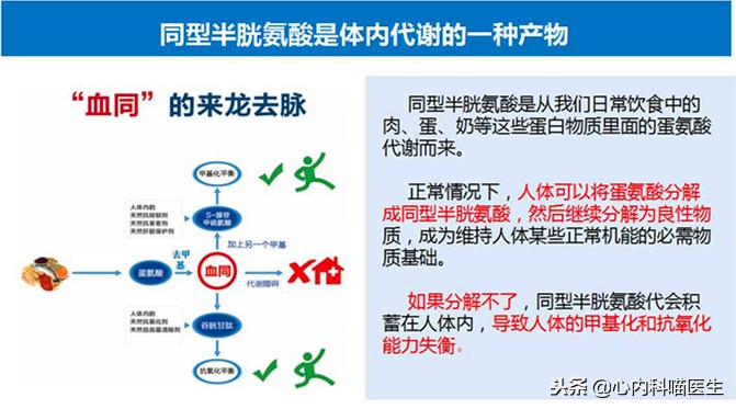 同型半胱氨酸型高血压吃多久叶酸,高血压同型半胱氨酸多高要吃叶酸