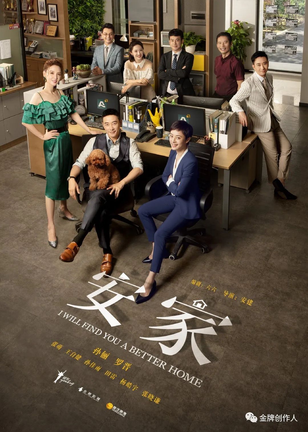 安家的热搜,安家热搜