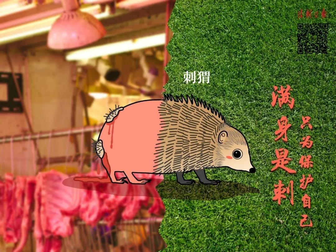 远离野味的漫画,拒绝野味漫画