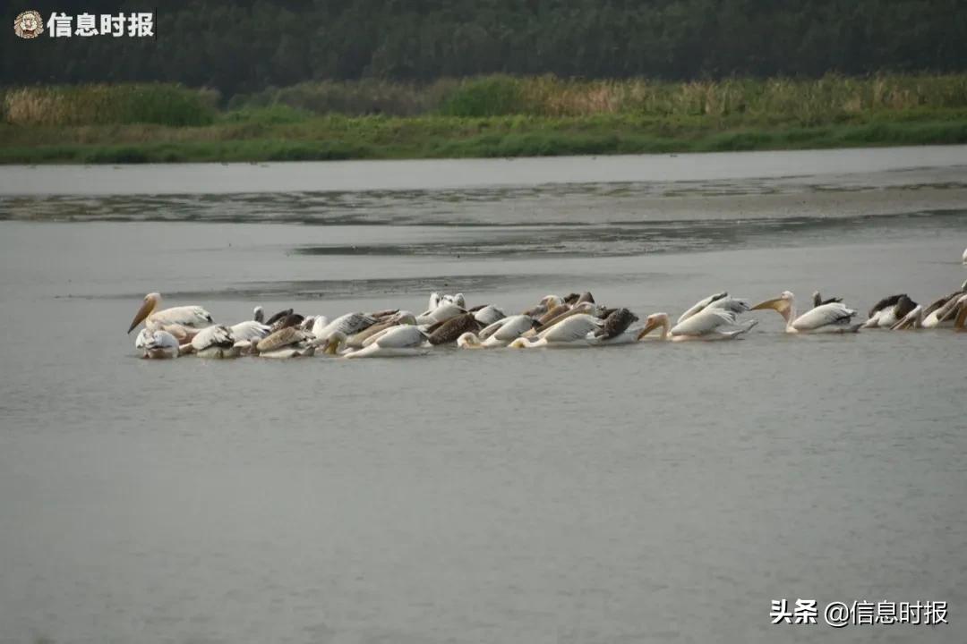 五一去广州旅游攻略路线,五一从广州出发去哪里好玩
