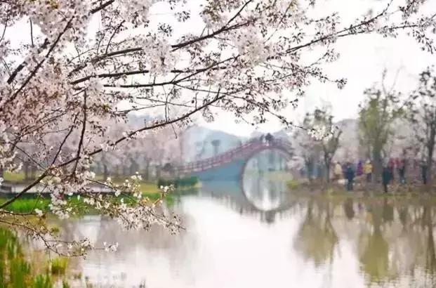 园林卡休闲卡,园林卡苏州市民卡