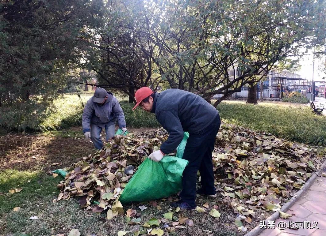 顺义公园景观实景,顺义公园都会效果图