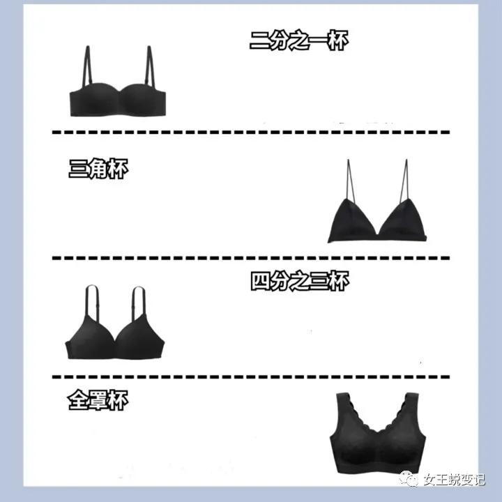 内衣怎么选罩杯,怎样选择文胸杯罩