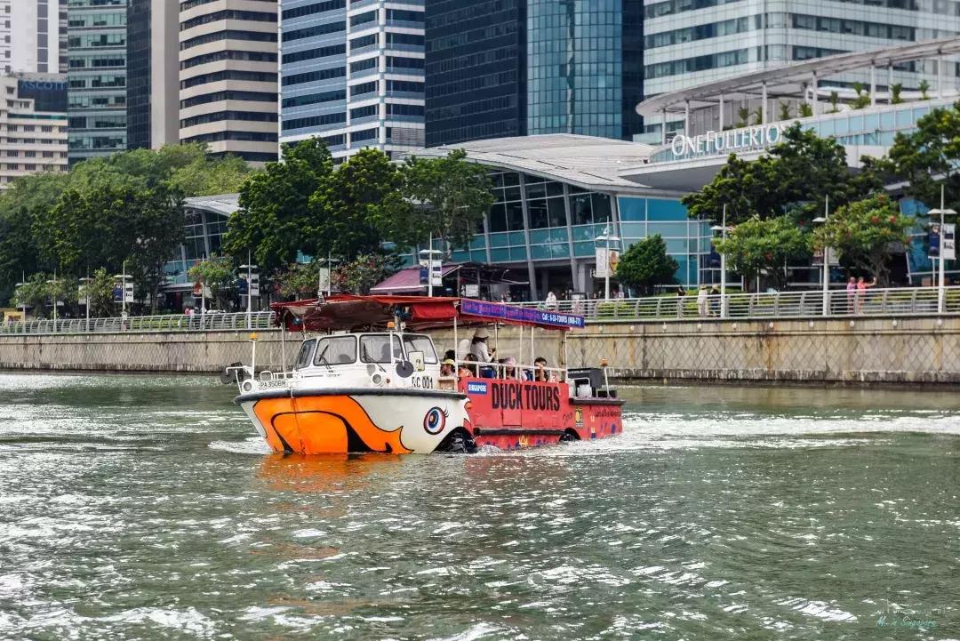 新加坡遛娃最佳地点,新加坡遛娃的好去处