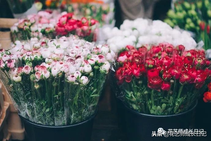 花店进货渠道批发市场,重庆开花店进货渠道在哪里