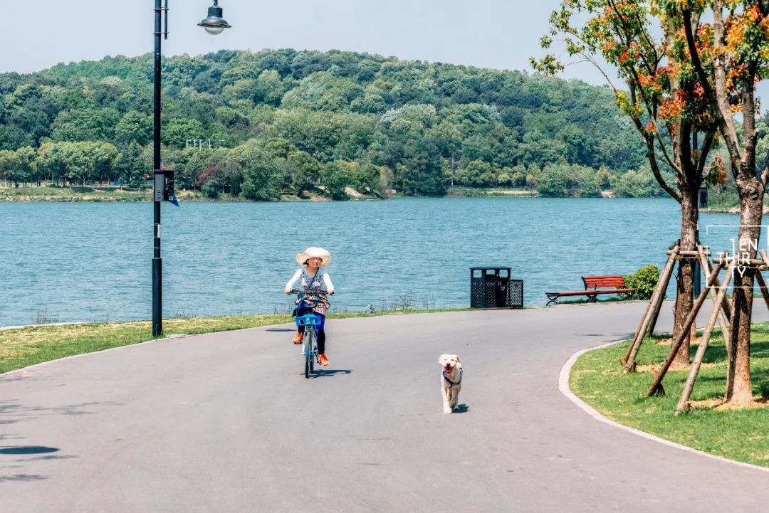 武汉公园免费景点推荐,武汉免费看花景点