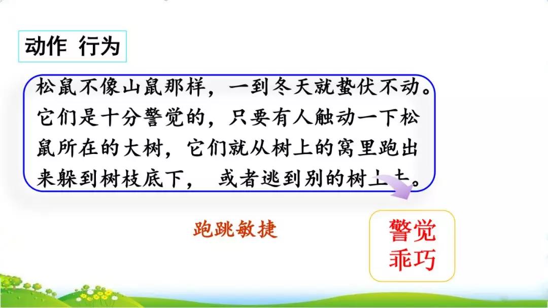 五年级语文第17课松鼠讲解,五年级上册第17课松鼠教材详解