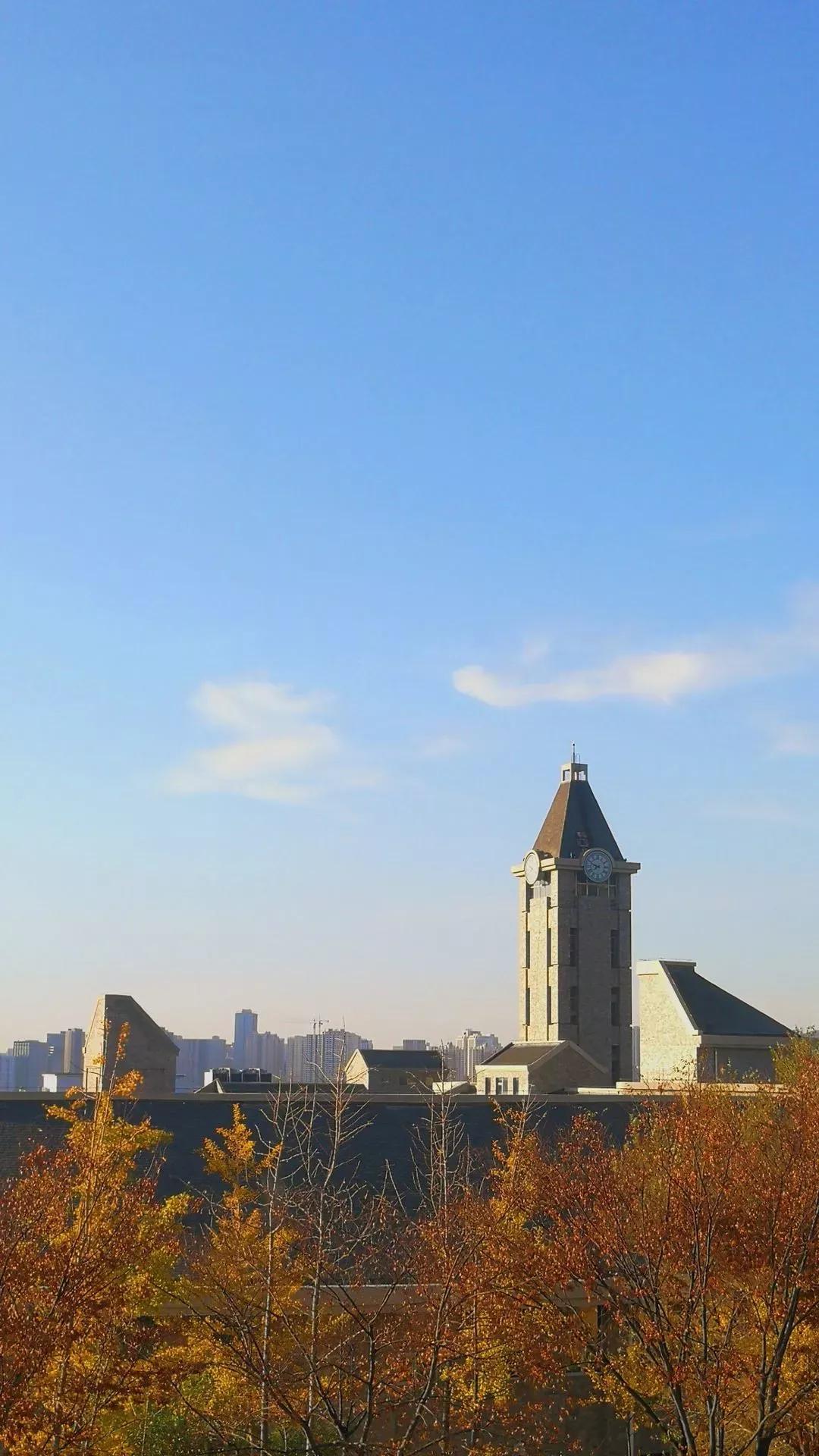 辽宁省民办大学（二）大连东软信息学院