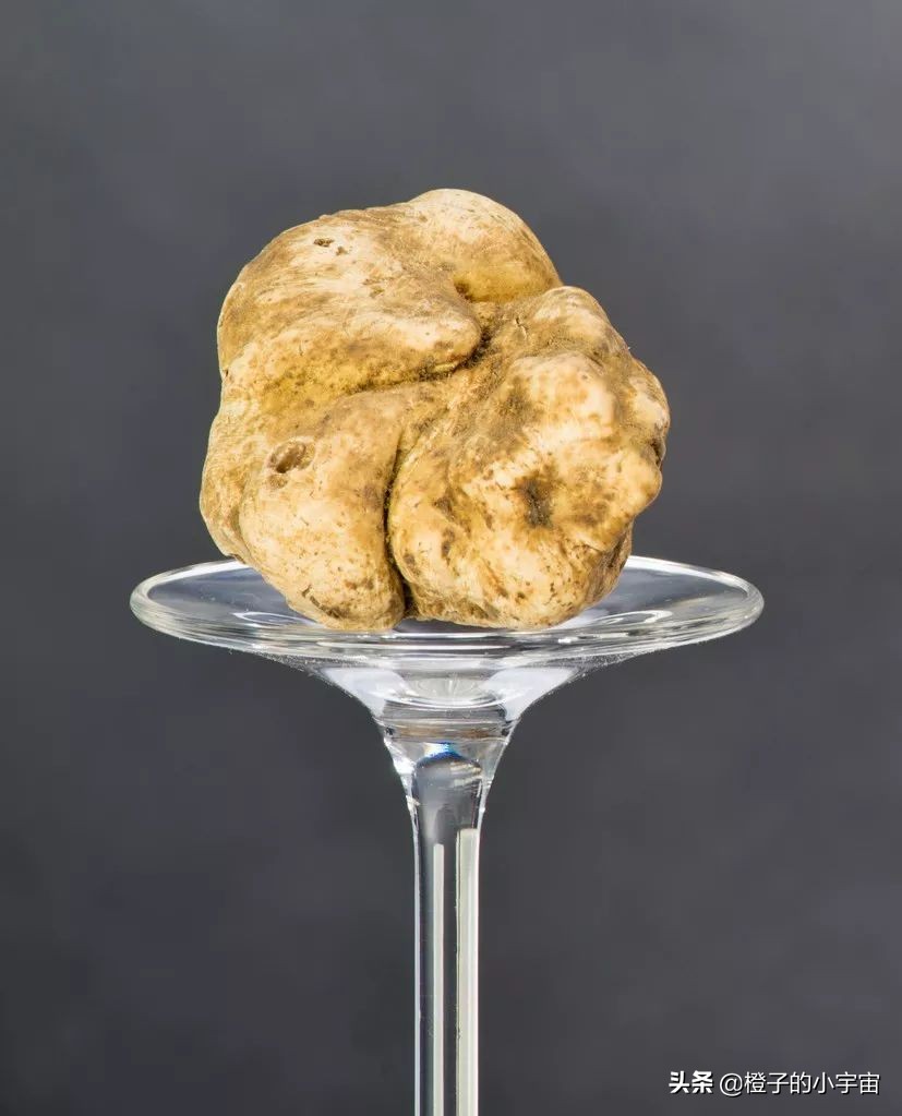 便宜到你怀疑人生的零食店,贵得能让你怀疑人生的菜