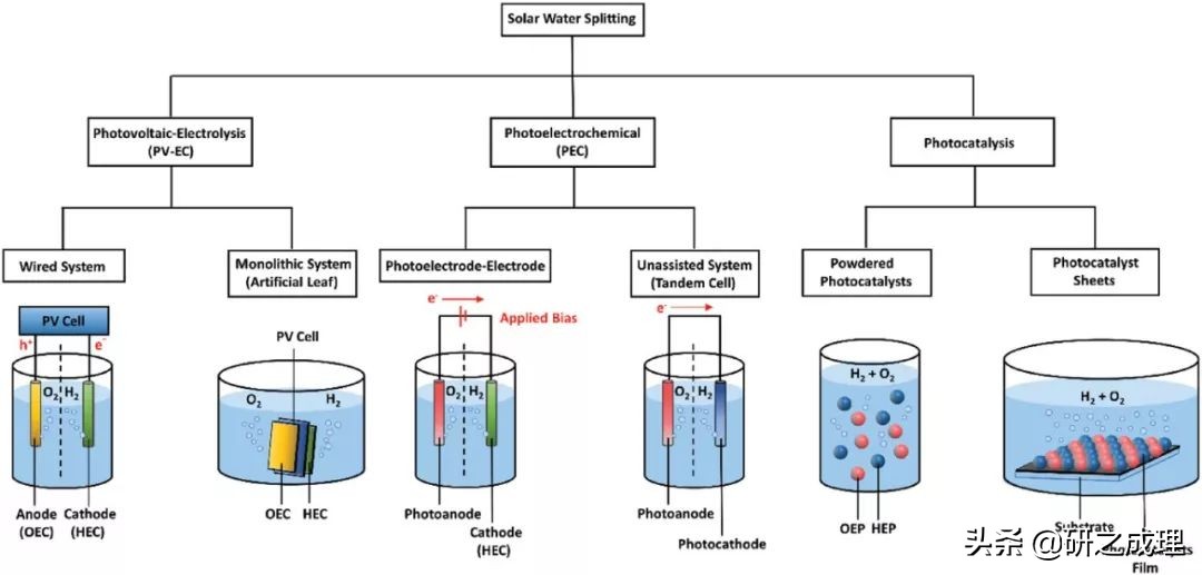 鍌寲蹇姤鏈熷垔,鍌寲鏉傚織灏侀潰