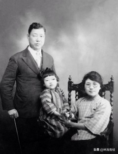 袁昌英的资料,袁昌英简介