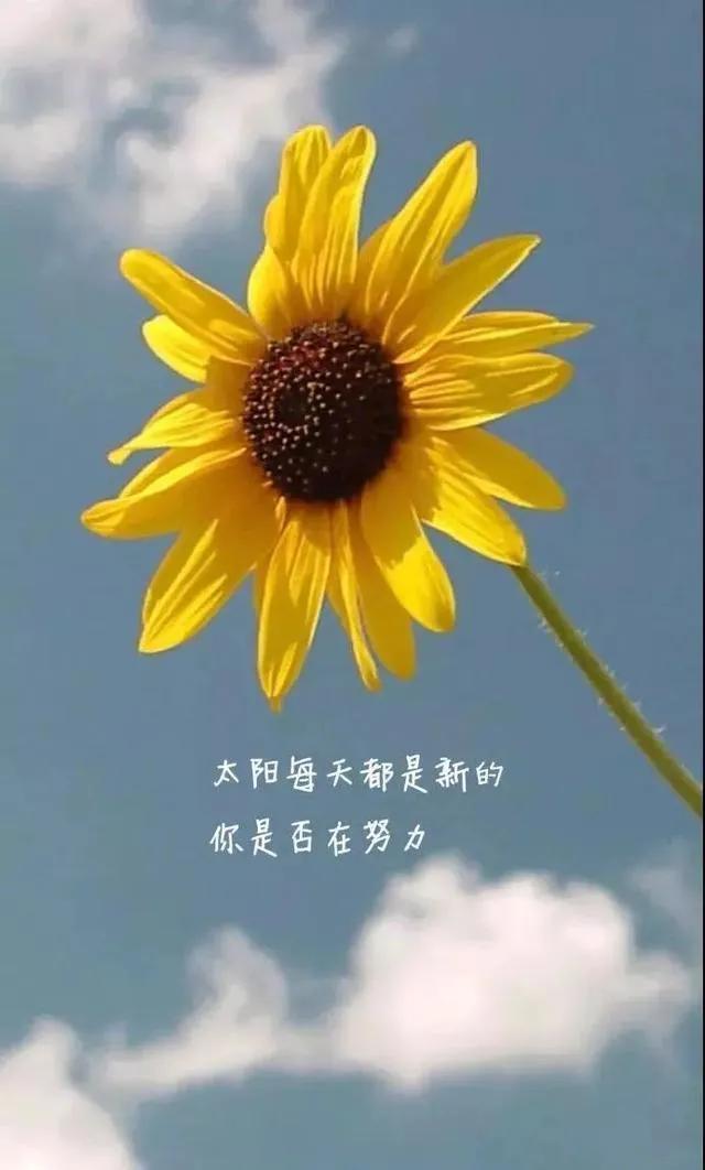 给高考失利同学的信,高考失利的感悟及解决方式