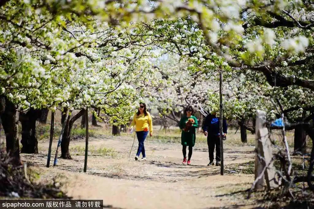 藏不住了!北京这些地方即将美出天际,你居然不知道?